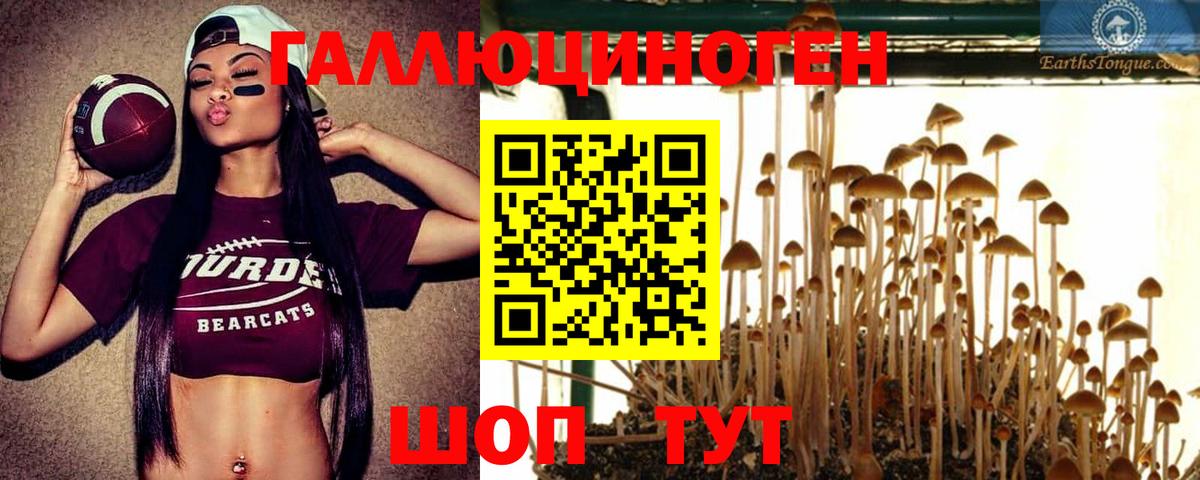 Вольск  Псилоцибиновые грибы ЛСД  Вход с VPN 