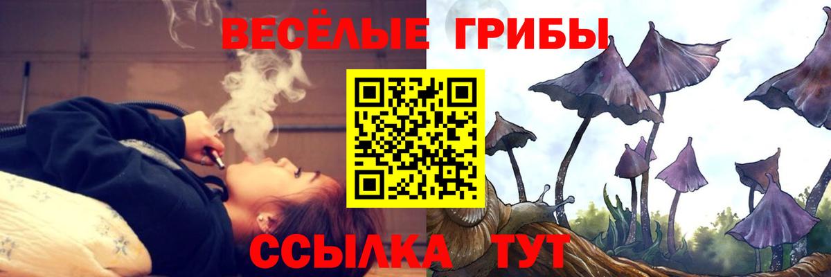Псилоцибиновые грибы Psilocybe Вольск